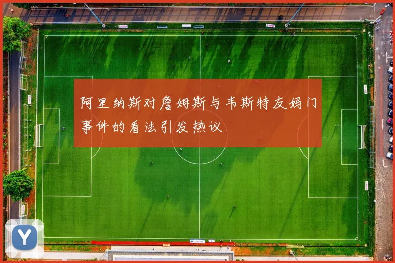 阿里纳斯对詹姆斯与韦斯特友妈门事件的看法引发热议
