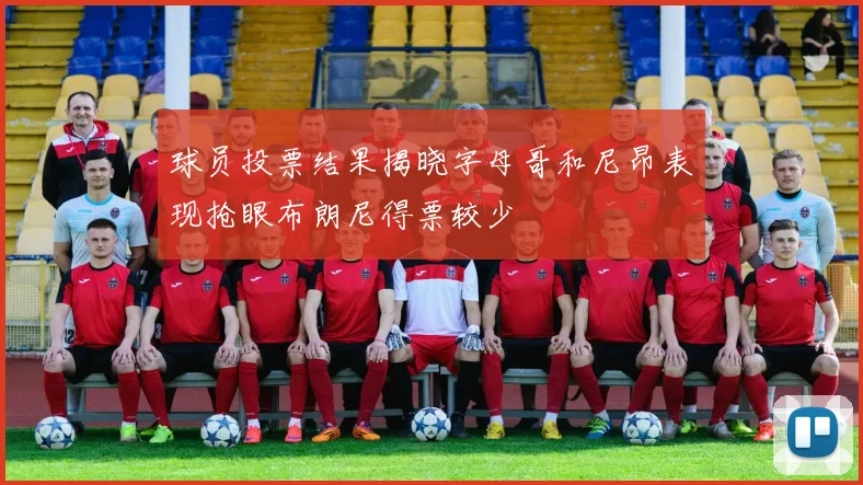 球员投票结果揭晓字母哥和尼昂表现抢眼布朗尼得票较少