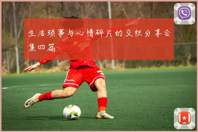 生活琐事与心情碎片的交织分享合集四篇