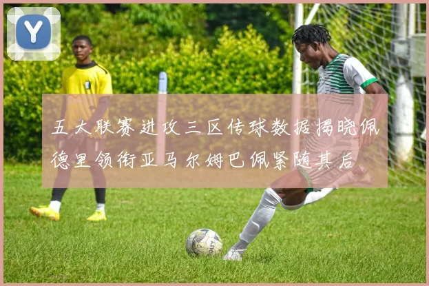 五大联赛进攻三区传球数据揭晓佩德里领衔亚马尔姆巴佩紧随其后