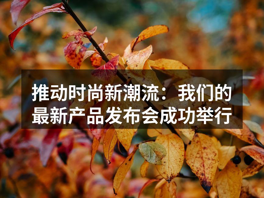 新品发布会现场热烈气氛
