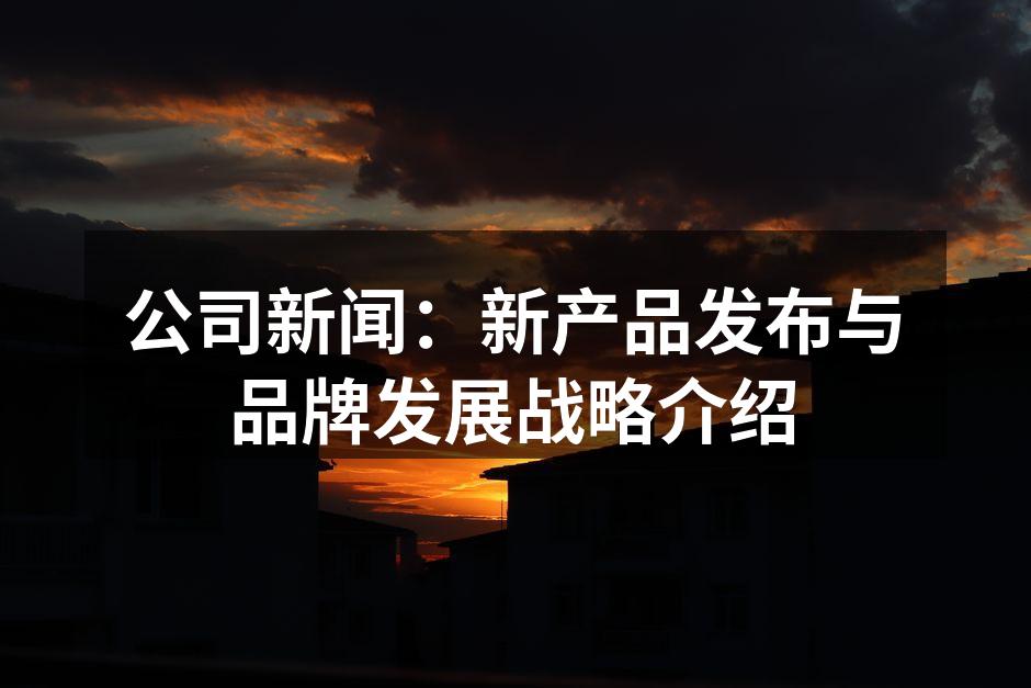 新产品发布会现场