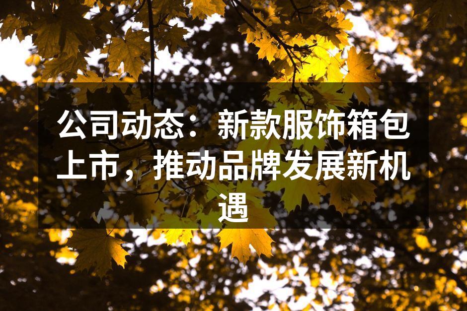新款服饰系列展示